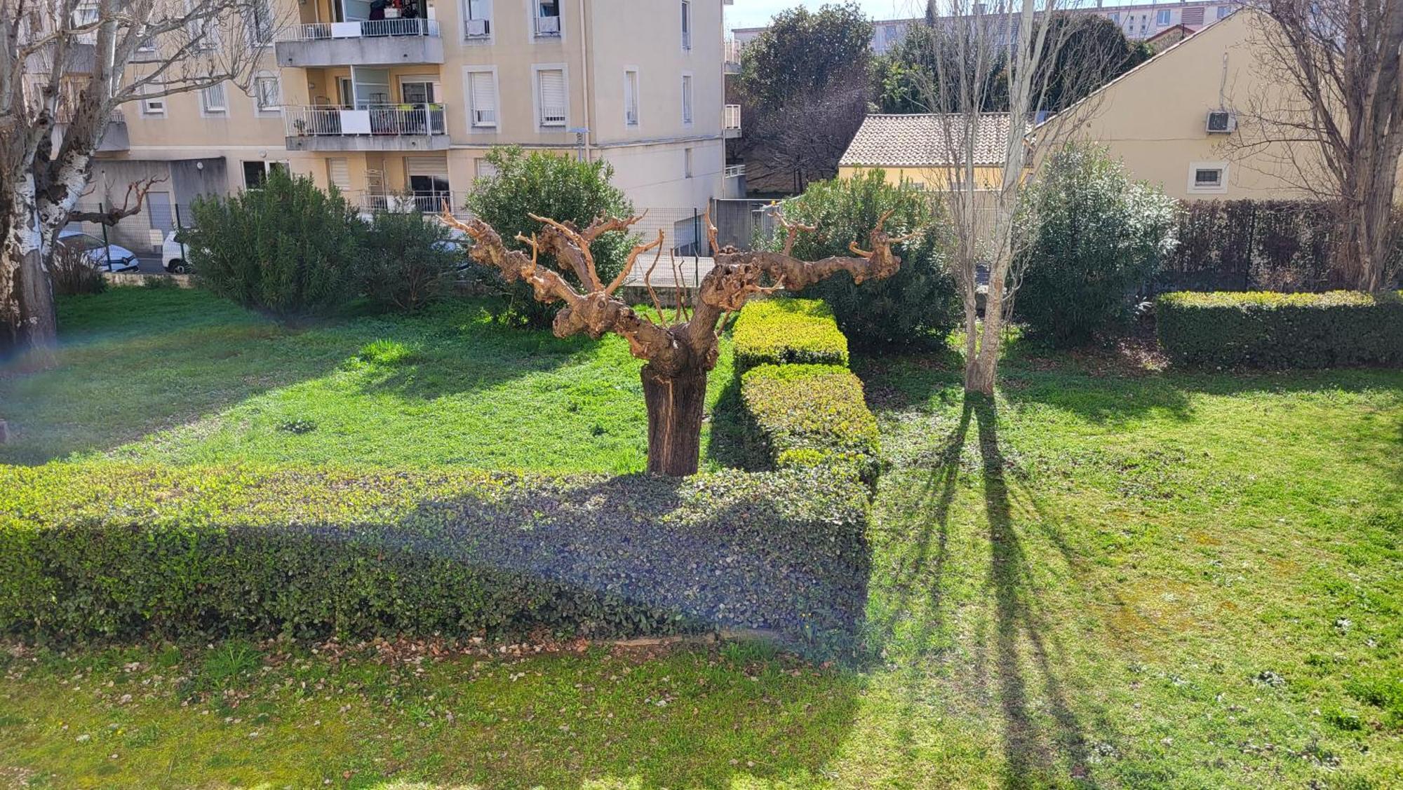 Les Tourterelles D'Avignon 2 Apartamento Exterior foto